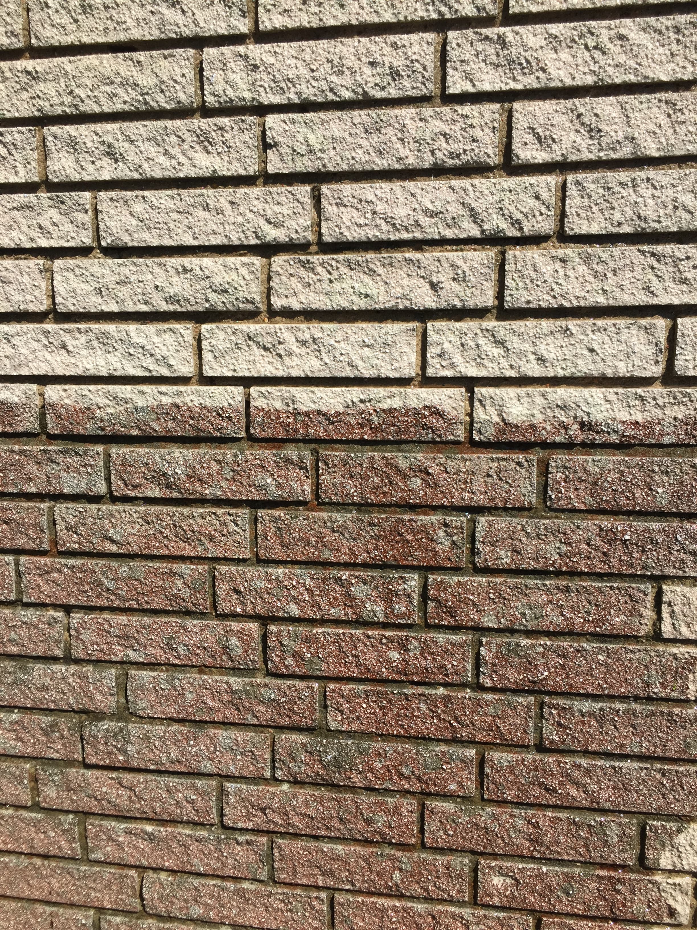 Algebehandling af tag