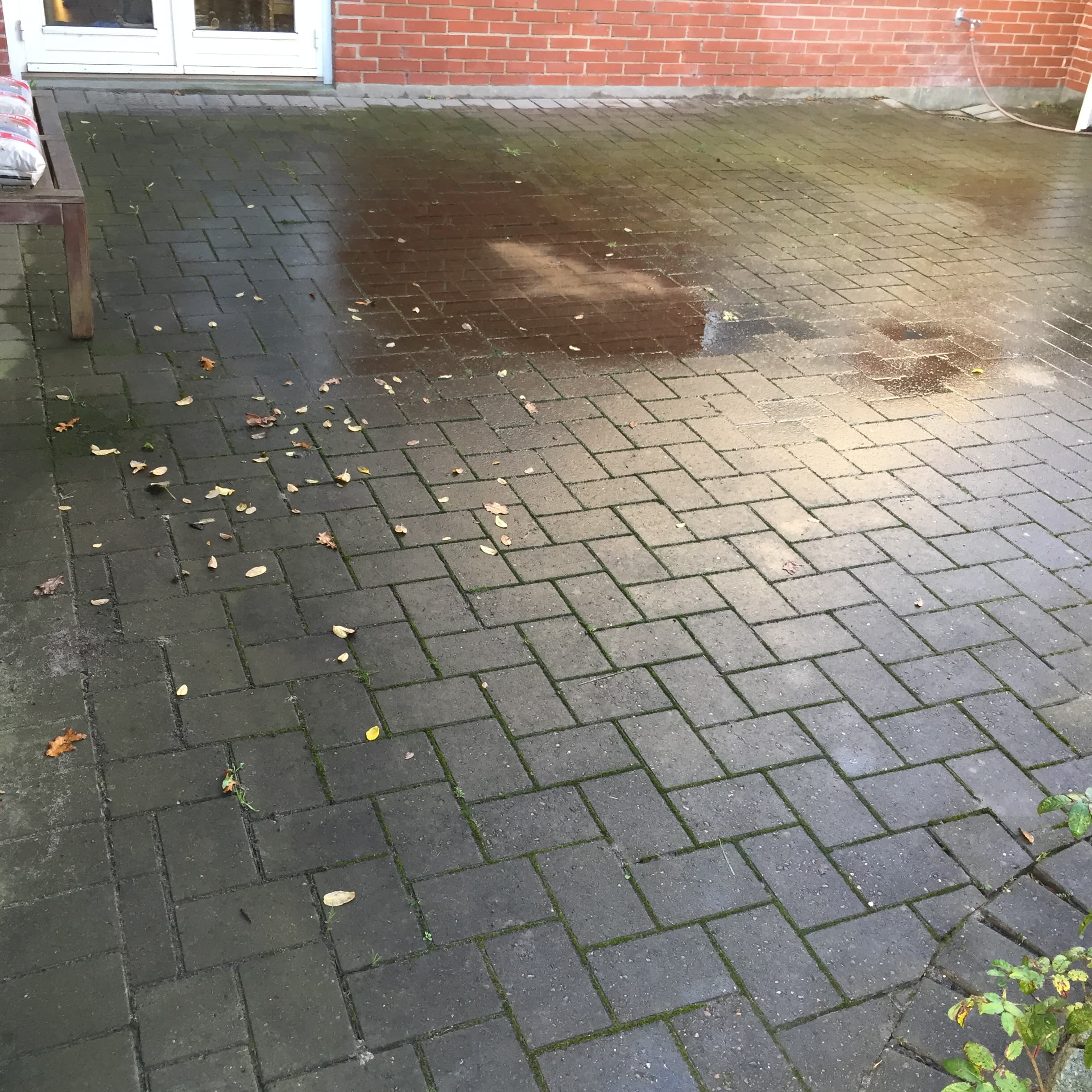 Algemanden – professionel algefjernelse