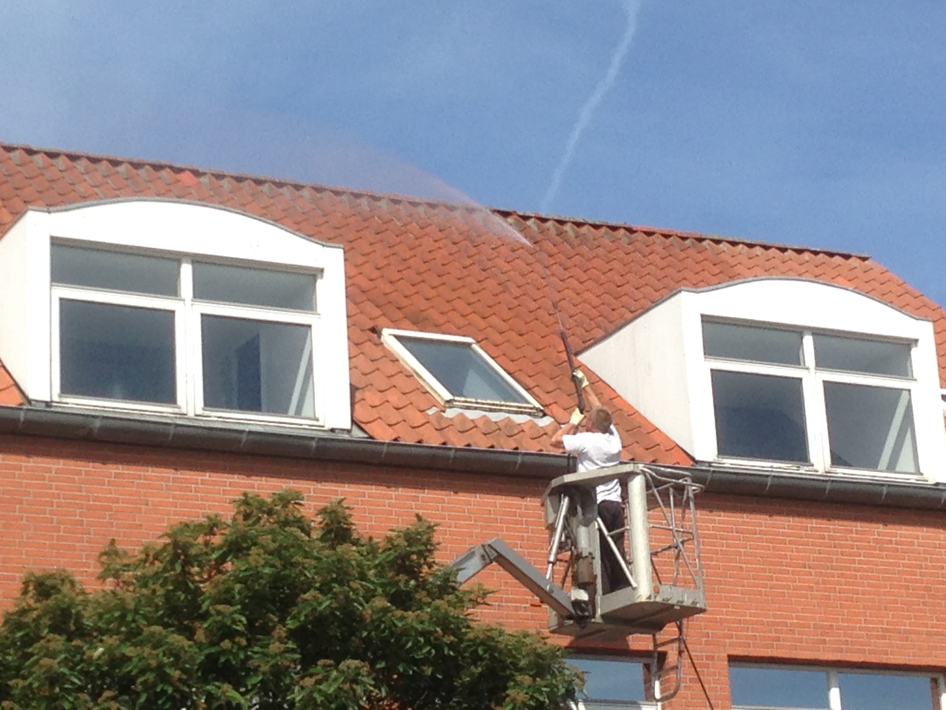 Algemanden - professionel algefjernelse